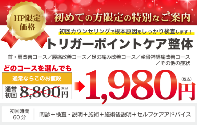 通常8,800円のところ初回特別価格1,980円