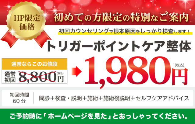 通常8,800円のところ初回特別価格1,980円