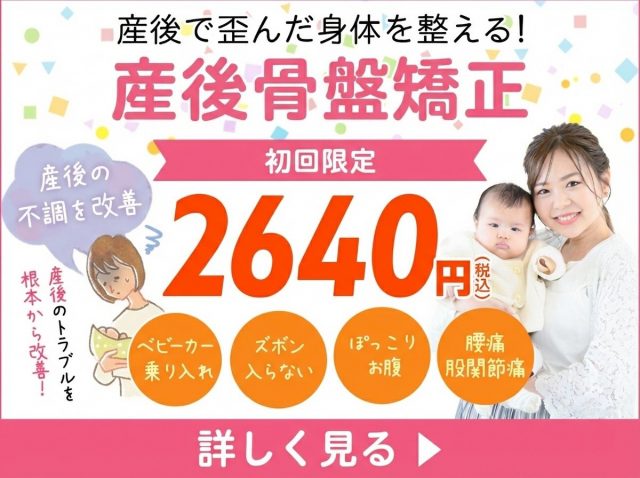 通常8,800円のところ初回特別価格2,640円
